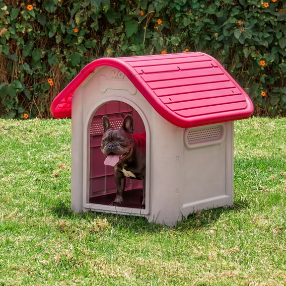 Casa Para Perro Mediana + Plato Magenta MQ 600-M
