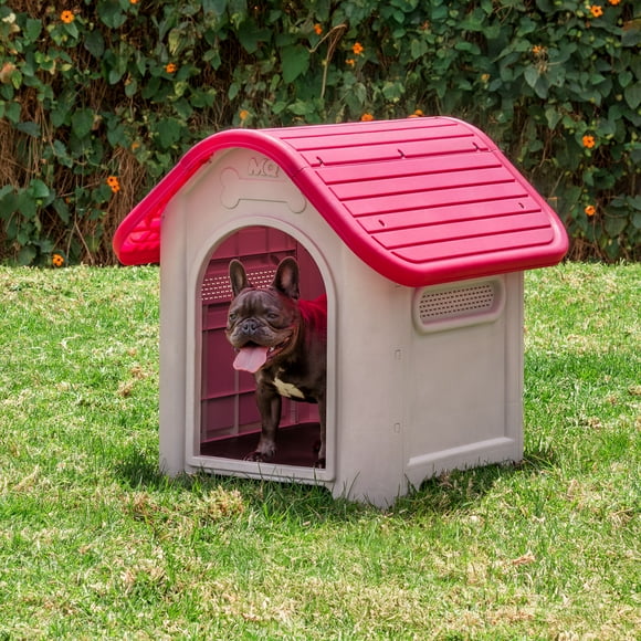 Casa Para Perro Mediana + Plato Magenta MQ 600-M