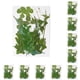 thumbnail image 1 of Advancent Hojas secas naturales Artesanías en relieve Hojas prensadas Decoración Hogar Tarjeta postal decorativa Presenta Hoja verde 12 Hoja verde 12 10Conjunto, 1 of 6
