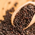 thumbnail image 5 of Birch & Meadow Brown Mustard Seeds, 10.4 oz, Whole Seeds, Hot & Spicy Flavor, Marinades & Condiments, 5 of 6