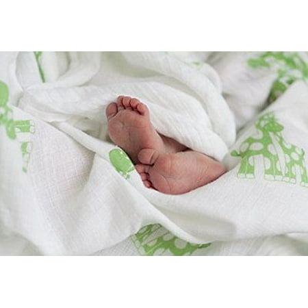 Walmart Swaddle Blankets Beauteous Hanchell Babies Organic Muslin Swaddle Blankets WhiteLime Walmart Swaddle Blankets Beauteous Hanchell Babies Organic Muslin Swaddle Blankets WhiteLime