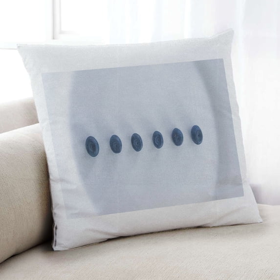 Ahgly Company Foods Blueberries Indoor Throw Pillow, 18 inch by 18 inch