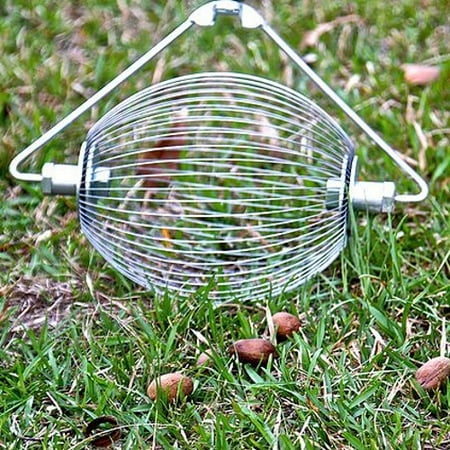 Nut Wizard - Medium Nut Wizard by Holt's