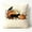 C, variant on Halloween Decorations-18×18Inch Black Cat Vintage Pillow Cover Linen Cushion Case Autumn Thanksgiving Halloween Decor for Chair Sofa Couch Bedroom Living Room Decor Halloween Supplies