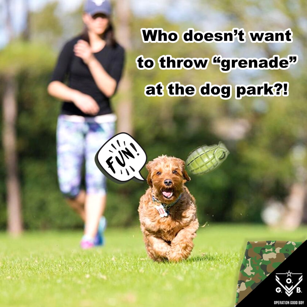 Operation Good Boy Grenade, Non-Toxic Dog Toy Grenade with Treat Pocket for Aggressive Chewers, Green