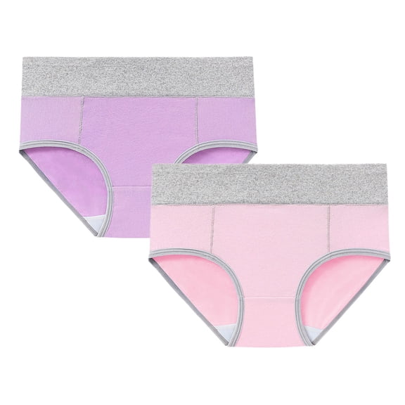 Womens Cotton Classic Underwear 2 Count High Waist Soft Briefs Ladies Panties Set No Show Underwear