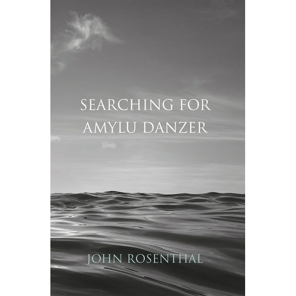 Searching for Amylu Danzer (Hardcover)