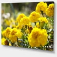 thumbnail image 2 of Fleurs de Souci Jaune Vif - Impression sur Toile Florale, 2 of 3