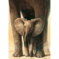thumbnail image 2 of Renee 24x32 Black Ornate Wood Framed with Double Matting Museum Art Print Titled - Elephant love II, 2 of 4