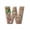 W, variant on Coollooc 26 Alphabet Ornaments for Christmas Tree, Candy Cane Initial Letter Pendant with Berries Pattern, Mini Monogram Hanging Decorations for Party Gifts DIY Decor(W,A)