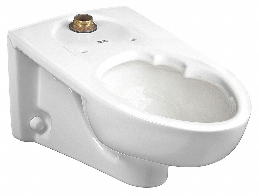 American Standard Bedpan Holding Toilet Bowl 3352101.020