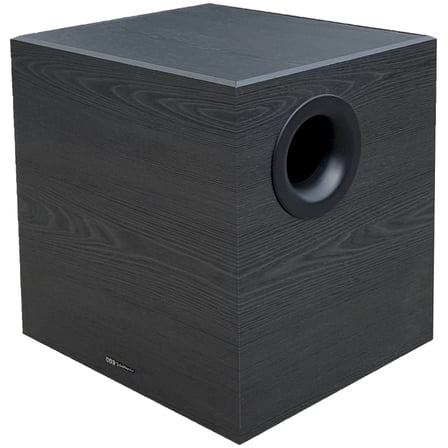 12-IN 200W SUBWOOFER