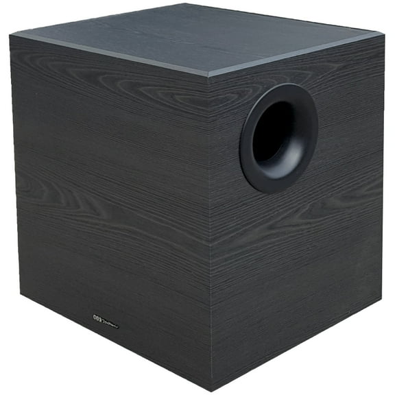 12-IN 200W SUBWOOFER