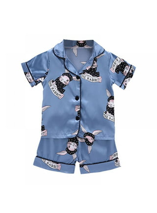 Sleep Shirts for Women, Long Sleeve Button Down Sleepwear Boyfriend  Nightshirt Notch Collar Pajama Dress, Blue