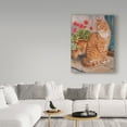 thumbnail image 3 of Trademark Fine Art 'Ginger Cat On Doorstep' Canvas Art by Janet Pidoux, 3 of 3