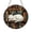 Acrylic 3.5 Inch, variant on Sleeping Cat Stained Glass Suncatcher, Cozy Kitten Window Hanging Decor Featuring Resting Cat with Bookshelf and Reading Theme