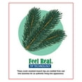 thumbnail image 6 of CC Christmas Decor 9' Pre-Lit Douglas Fir Artificial Christmas Tree - Clear Lights, 6 of 8