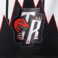 thumbnail image 3 of Men's Mitchell & Ness White Toronto Raptors Big & Tall Hardwood Classics Team Swingman Shorts, 3 of 3