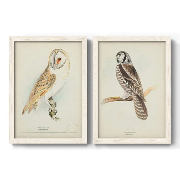 Barn Owl - Premium Framed Canvas 2 Piece Set - Ready to Hang