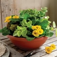 thumbnail image 3 of HC Companies GAB22000E35 22 Inch Resin Garden Bowl Planter Pot, Terra Cotta, 3 of 5
