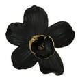 thumbnail image 1 of Sagebrook Home Résine 9" Orchidée Cintre Mural, Noir/or, 1 of 1