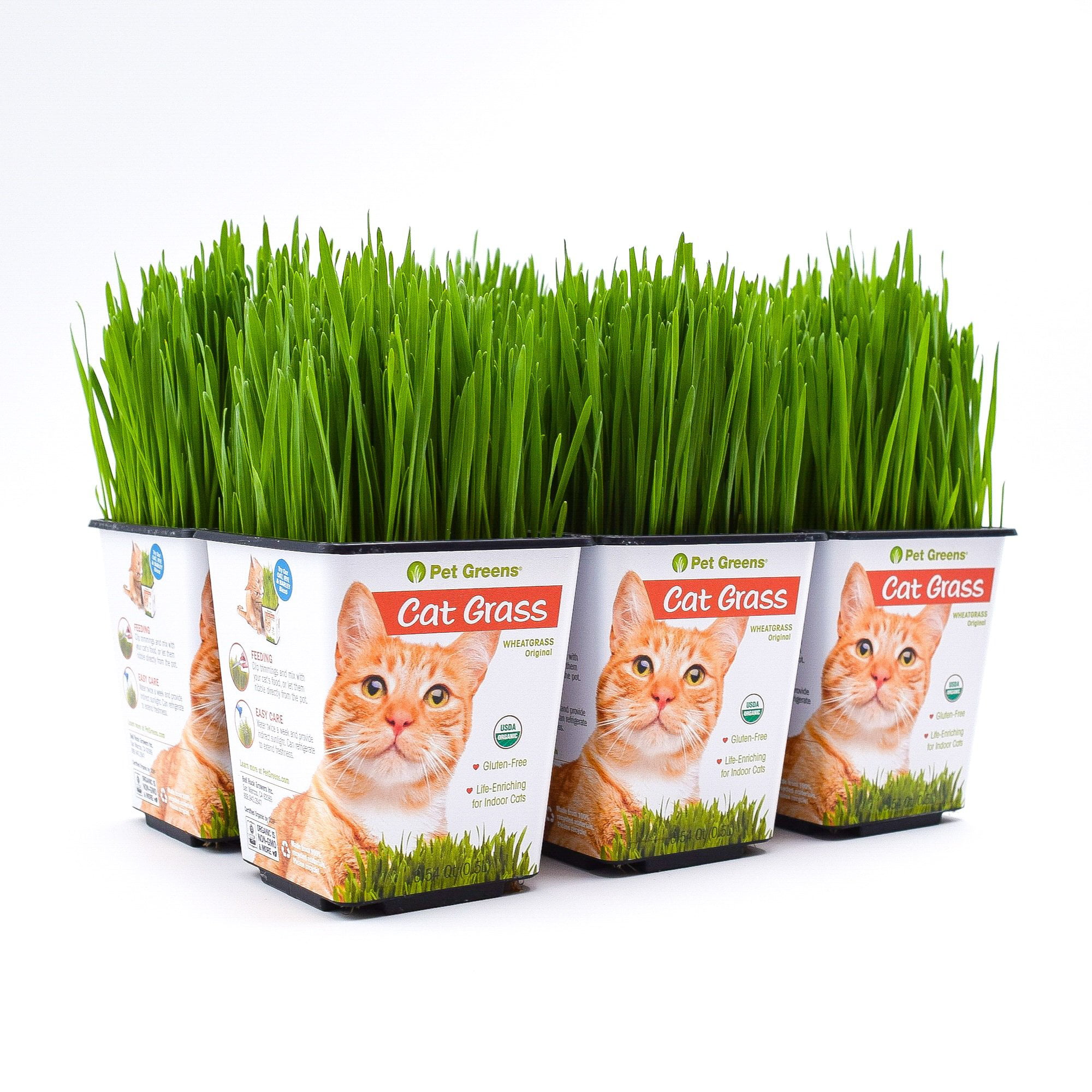 Pet Greens Cat Grass Original Wheatgrass, Pack of 20   Walmart.com