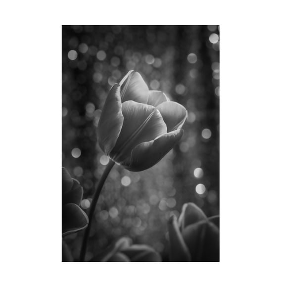 Trademark Fine Art Dorte Irene Sattrup Greta Garbo Canvas Wall Art