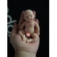 thumbnail image 1 of 4.5" Micro Preemie Full Body Silicone 13cm bady girl " zoe'' Doll Lifelike Mini Reborn Doll Surprice Children Anti-Stress Gao Jinjia LED, 1 of 1