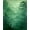 Green, Pattern 1, variant on ODIKA 4'x6' Machine Washable Non-Slip Area Rug, Enchanted Forest Whisper for High Traffic Rug, Green, 133882