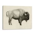 thumbnail image 1 of Cuadro decorativo - Altas Llanuras I, Victoria Borges 60x45 Canvas Lab Animales, Naturaleza, Animales y naturaleza, Figurativo, Western, Fauna silvestre, Ilustrativo, 1 of 2