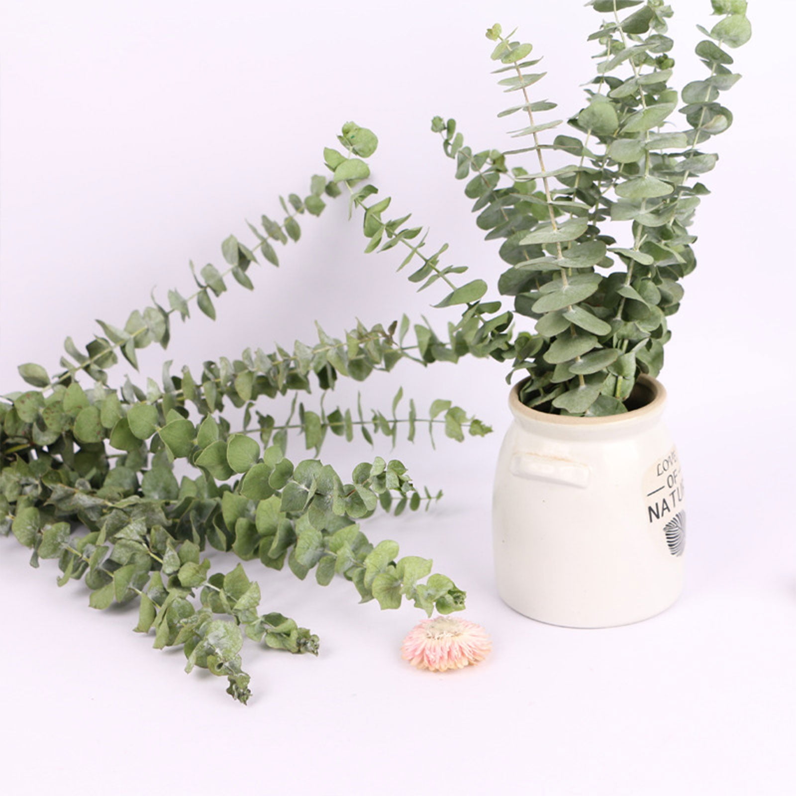Xoxingysm Artificial Flowers Leaves Leaves Art Leaves Home Decoration Dried Flowers, Olive Leaves *1 Bunch