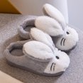 thumbnail image 2 of Huanglei Kids Children's Boys Girls Cartoon Fauxry Shoes Indoor Home Warm Cotton Slippers, 2 of 9