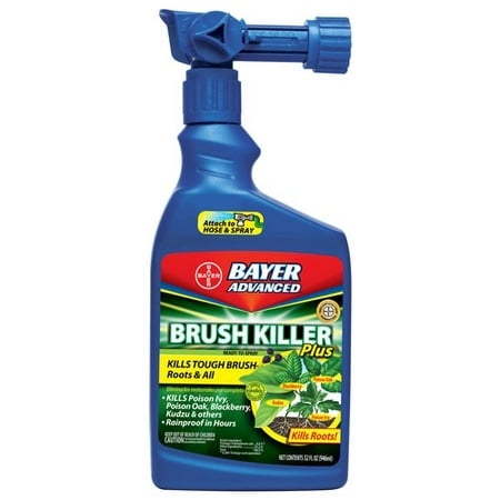Bayer Advanced Brush Killer Ready to Spray (Best Brush Killer Spray)