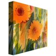 thumbnail image 2 of Trademark Art "Orange Wild Flowers" Canvas Wall Art by Shelia Golden, 2 of 2