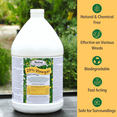 thumbnail image 6 of 20% Vinegar Weed Control - 128 fl oz Jug by Medina, 6 of 6