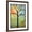 Brown Frame, variant on Art.com Tree Print Art Birds Sunshine Bluebirds Art Print by Blenda Tyvoll, 12" x 16"