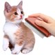 thumbnail image 5 of Peine de pelo de limpieza para perros, peine de depilación de masaje para mascotas y gatos de madera de acero inoxidable, 5 of 8