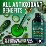 ALPHA FLOW 6000mg Antioxidant-Rich Body Detox Liquid Chlorophyll for Women & Men, Mint, 20 Oz