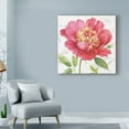 thumbnail image 3 of Trademark Fine Art 'Pink Garden II' Canvas Art by Lisa Audit, 3 of 3