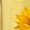 Yellow, variant on UNISHE Ladies Blue Rustic Sunflower Butterfly V Neck Short Sleeve T-Shirt Farmhouse Floral Style S-5XL Tops