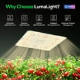 thumbnail image 3 of VIVOSUN LumaLight 150W LED Grow Light, Full Spectrum Plant Light, Smart Dimmable & High PPFD for Indoor Plants Seedling Vegetables Bloom, Fits 2.7×2.7/3×3 Grow Tents, 3 of 10
