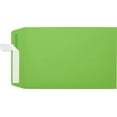 thumbnail image 2 of LUXPaper 6 x 9 Open End Envelopes, Limelight, 50/Pack, 2 of 2