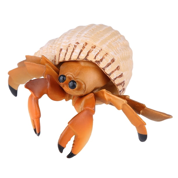 Juguete de simulación de cangrejo ermitaño, 1 pieza Simulación de cangrejo ermitaño Modelo de cangrejo ermitaño Juguete de cangrejo ermitaño adaptado para la perfección