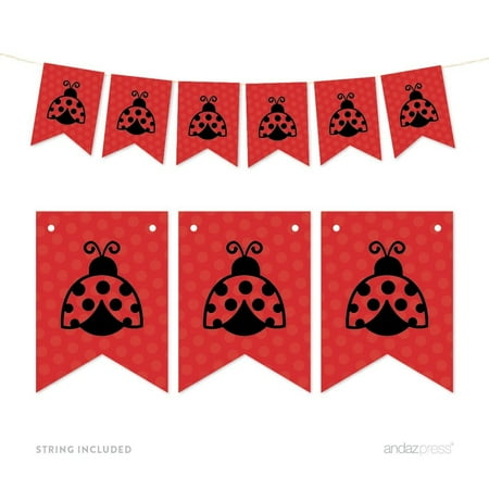 Pennant Party Banner Ladybug
