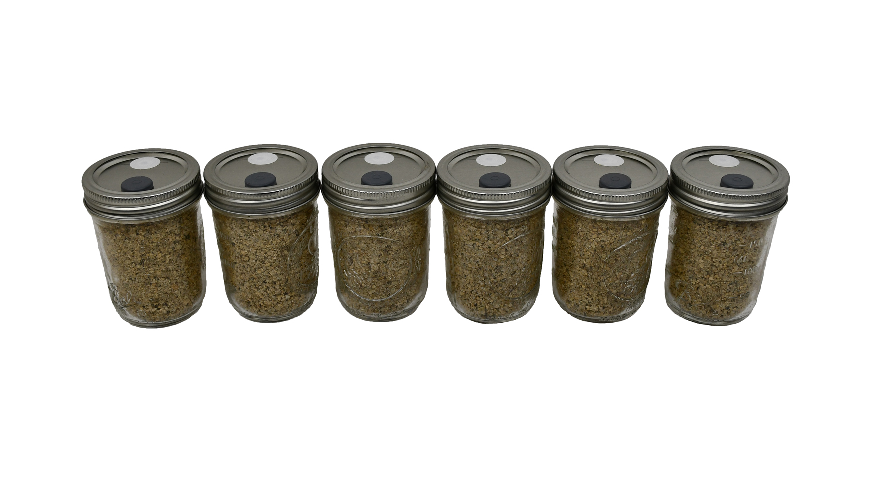 BRF Jars Brown Rice Flour Mushroom Substrate (Six Pack) …