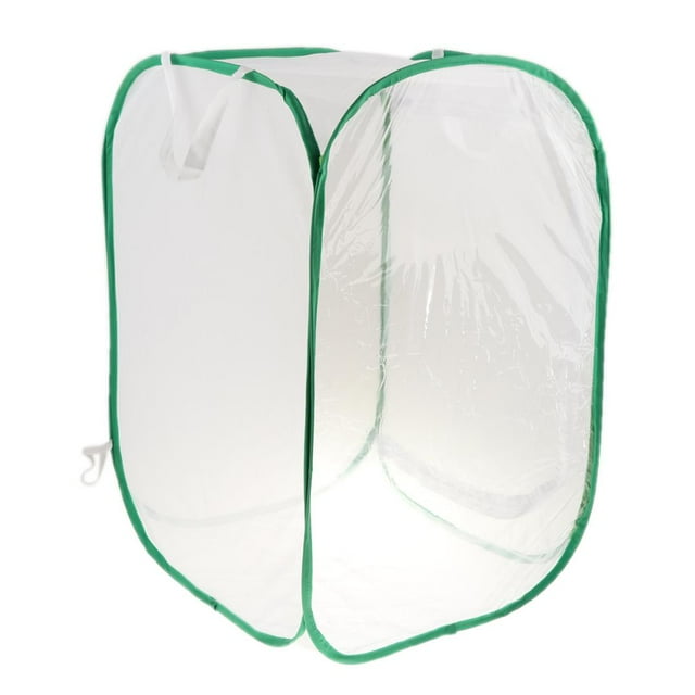DOLITY Habitat Pliable pour Insectes et Papillons Filet Terrarium Cage d'Élevage 40x40x60cm