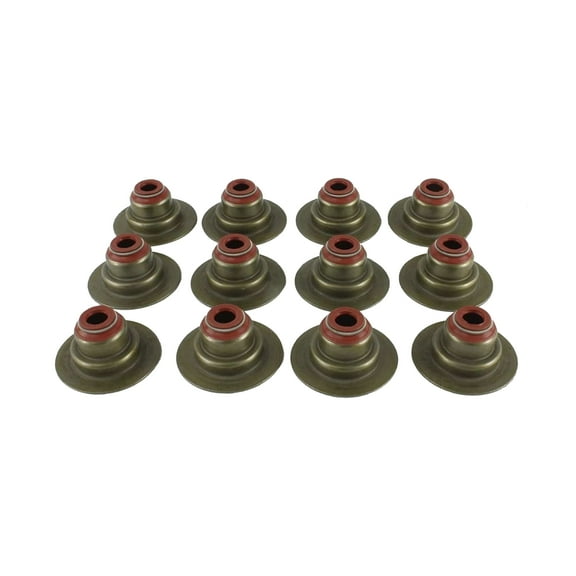 DNJ VSS428 Valve Stem Seals Fits Cars & Trucks 97-11 Ford Land Rover B4000 LR3 4.0L V6 SOHC 12v