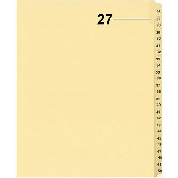 Davisgroup B1125-27 Diviseur d'Indice d'Un Litige Numérique Individuel 27 - 1 Unité