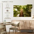thumbnail image 5 of Elephant Stock Waipoua Kauri Trees Wall Art - Horizontal Canvas Wall Art - Living Room Wall Decor - Floral And Botanical Canvas - Green And Gray Decor - 30" x 20", 5 of 8