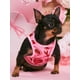 thumbnail image 5 of PETSIN Valentine's Day Heart Print Pet Tank, 5 of 5